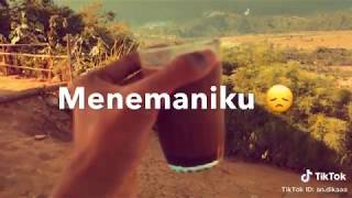 Tik tok kata kata hits