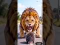 lion fighting porcupine #shortsfeed #attack #dangerous