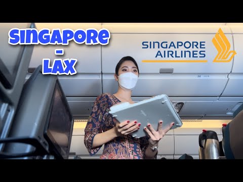 Survive on a 15-hour flight | Singapore - Los Angeles A350 | Singapore Airlines