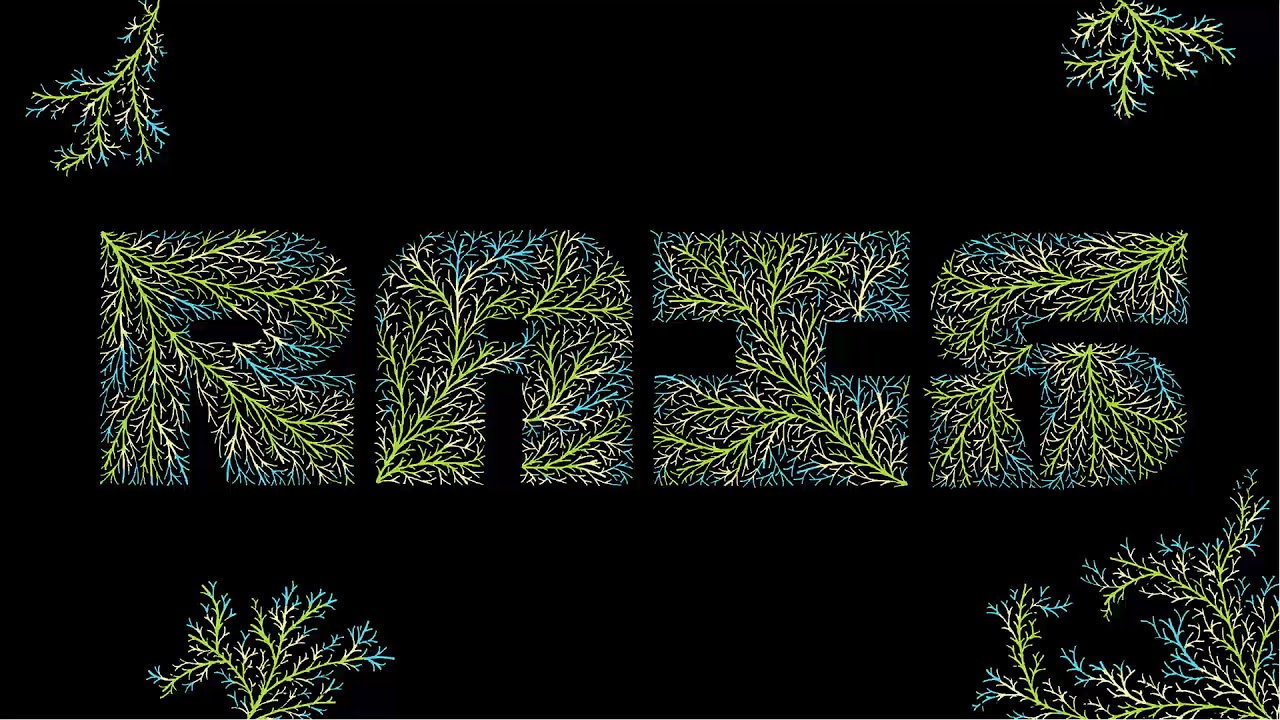 Kuenta i Tambu - Sangura