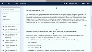335 - using Moodle 2019