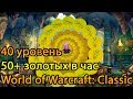 Способ заработать в World of Warcraft: Classic (#1)