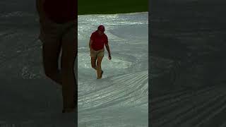 TARP MONSTER STRIKES IN CINCINNATI