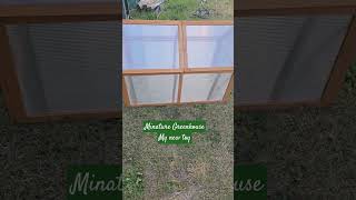 Minature Greenhouse. #garden #flowers #plants #shortsvideo