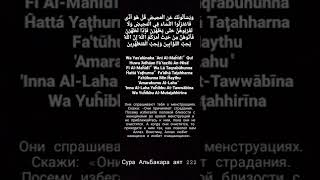 Воистину Аллах любит кающихся и очищающихся Сура Аль-Бакара 222 Аят