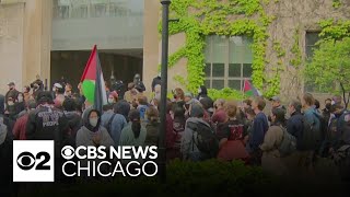 Police clear proPalestinian encampments at the University of Chicago amid continued protests