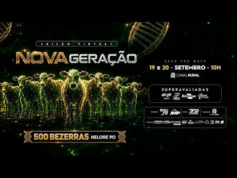 LOTE 42   NJMP 16006