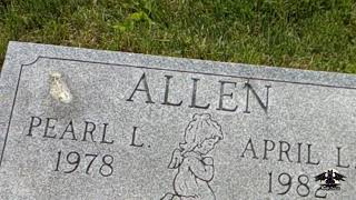 Bethel Cemetery Section 2