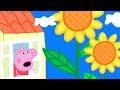 🌻Huge Flowers in Peppa Pig's Garden | Peppa Pig Official Family Kids Cartoon