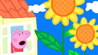 🌻Huge Flowers in Peppa Pig's Garden | Peppa Pig  Family Kids Cartoon