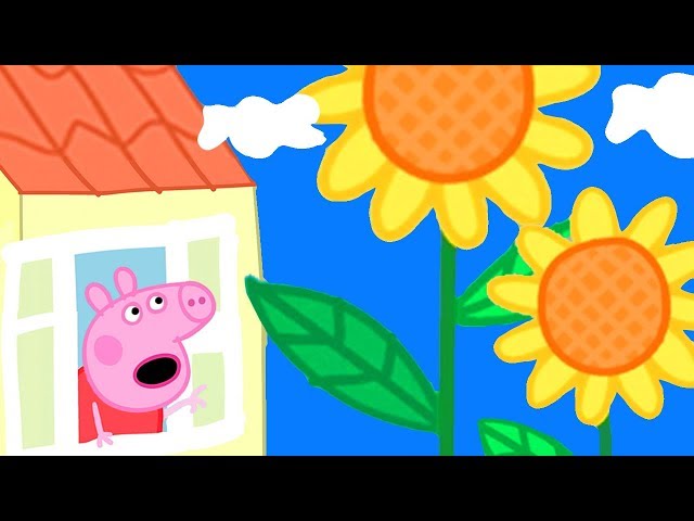 🌻Huge Flowers in Peppa Pig's Garden | Peppa Pig Official Family Kids Cartoon class=