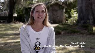 The Bee Cause Project Making an Impact