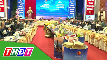 Tây Ninh đẩy mạnh logistics, mở rộng thị trường xuất khẩu | THDT