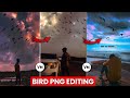 How To Edit Birds Png Video Editing😱🔥 | Trending Reels Editing | Bird Png