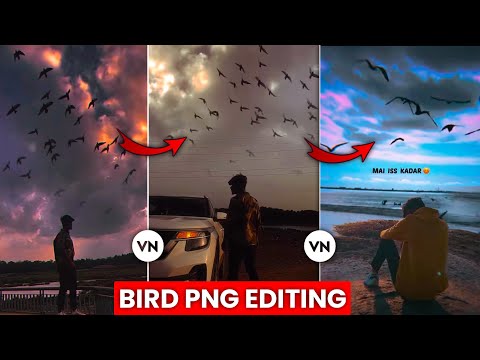 پرندوں کو کیسے ایڈٹ کریں Png ویڈیو ایڈیٹنگ😱🔥 | ٹرینڈنگ ریلز ایڈیٹنگ | برڈ Png