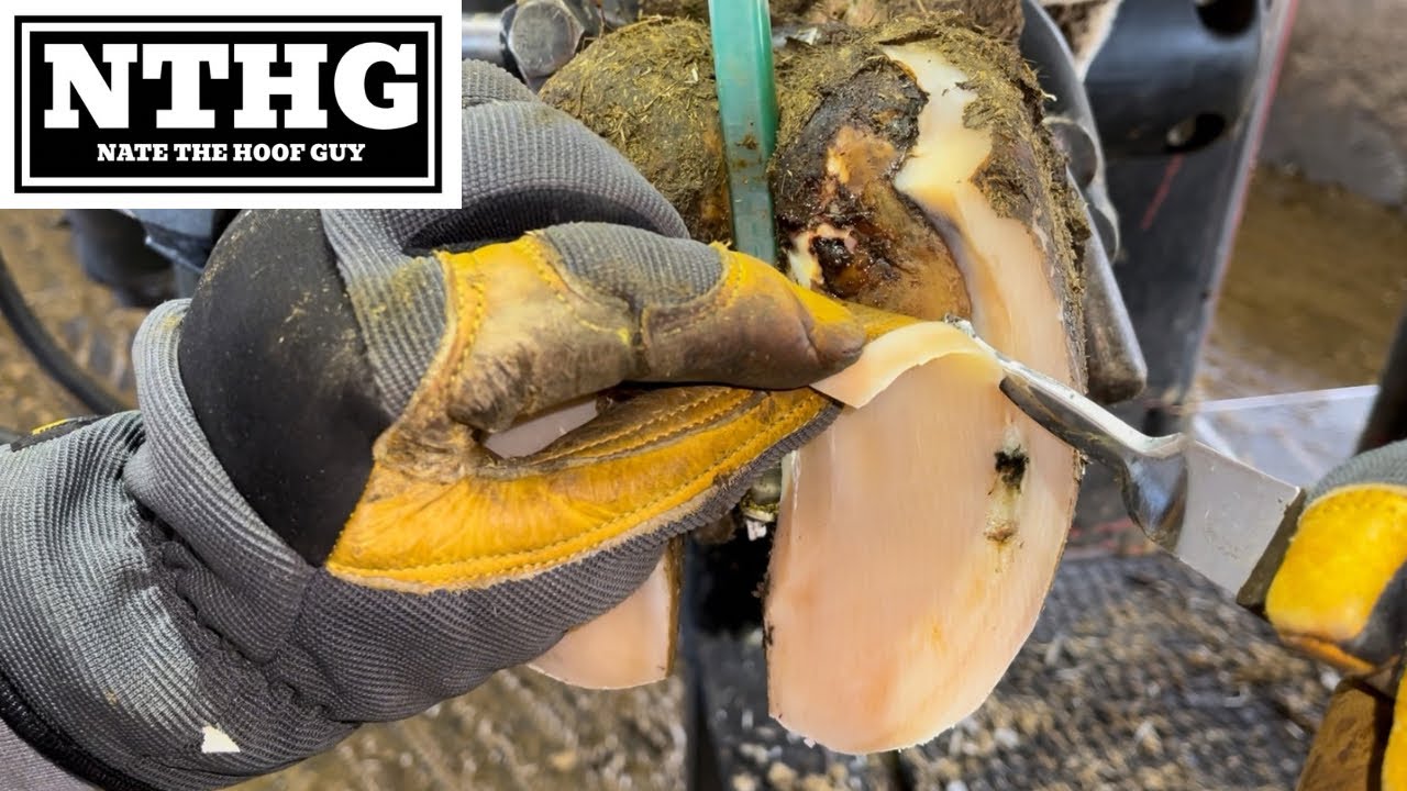 Вы можете видеть, как они оба двигаются