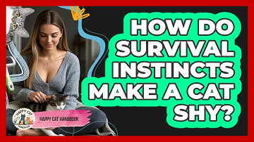How Do Survival Instincts Make A Cat Shy? - Happy Cat Handbook