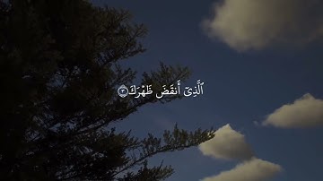 حصرياً سورة الشرح كامله /القارى رضوان عبدالله محاكاه عبدالرحمن مسعد..