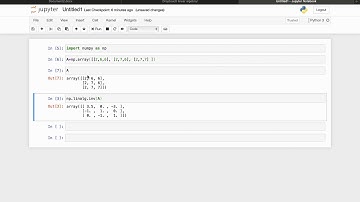 python inverse of a matrix