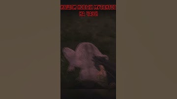 💥НАШЛИ НОВЫХ МУТАНТОВ НА ЧАЭС❗STALKER #Shorts