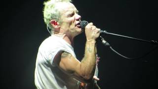 Flea - Nervous Breakdown (Black Flag cover), Red Hot Chili Peppers live at Unipol Arena 2016