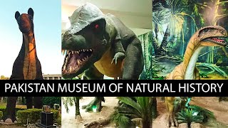 Pakistan Museum of Natural History Islamabad 2021 | Visit to Museum