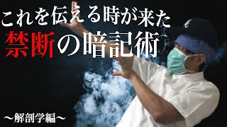 【放射線技師】あなたの勉強法に革命を起こす動画