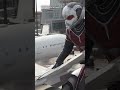 Arachnid VS Insect 🕷️