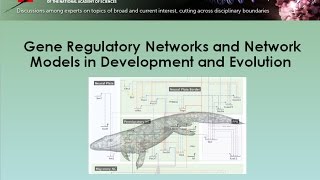 Flash Poster Talks