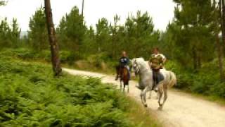 Excursión paseo ruta a caballo - Aventuras a caballo- Lamuño Cudillero Asturias