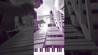 Donna Lee goes hard ⚡️ remix by @plexusplaymusic #jazz #vibraphone #percussion ion