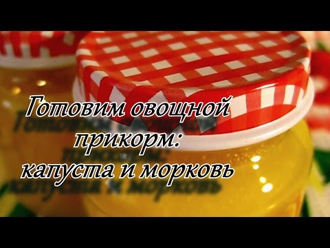 Готовим овощной прикорм | цветная и белокочанная капуста, морковь