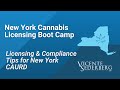 New York Cannabis Licensing Bootcamp: Licensing & Compliance Tips for New York CAURD Applicants