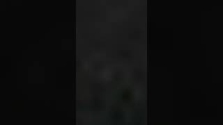 Young Thug x Lil Keed x Gunna - Distracted By Rats Prod Pi’erre Bourne