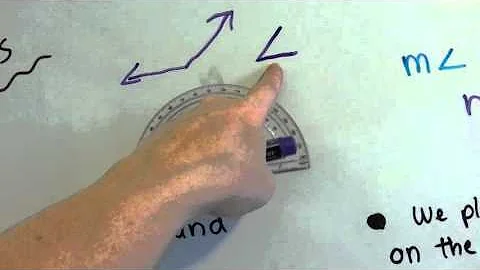 Grade 4 Math 11.3, Measure and Draw Angles with a Protractor
