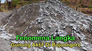 Muncul Gunung Aktif Di Bojonegoro Inilah Fenomena Alam Langka Yang Terjadi Di Hutan Desa Krondonan