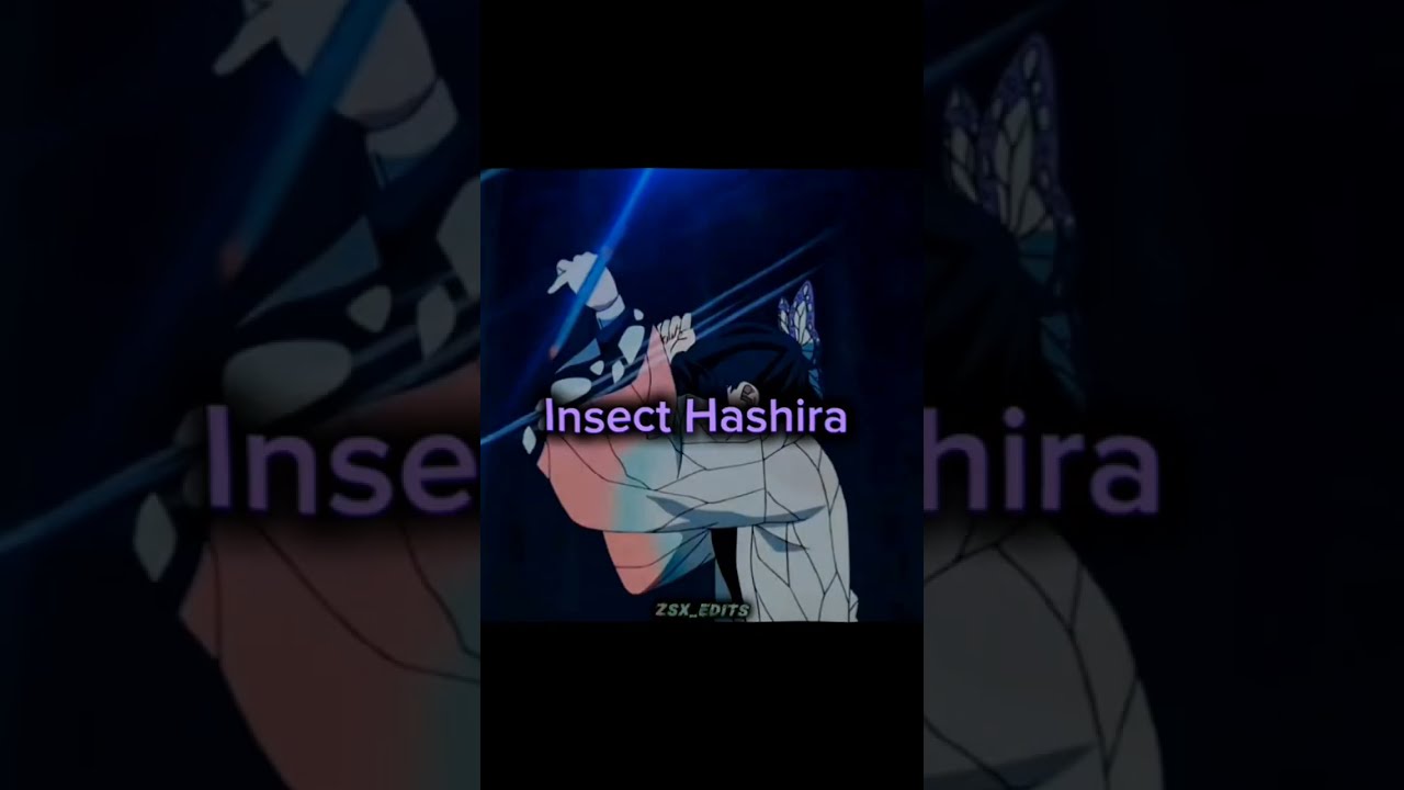 Hashira Introduction Song Edit Kny Demon Slayer Inttoduction Trend Short