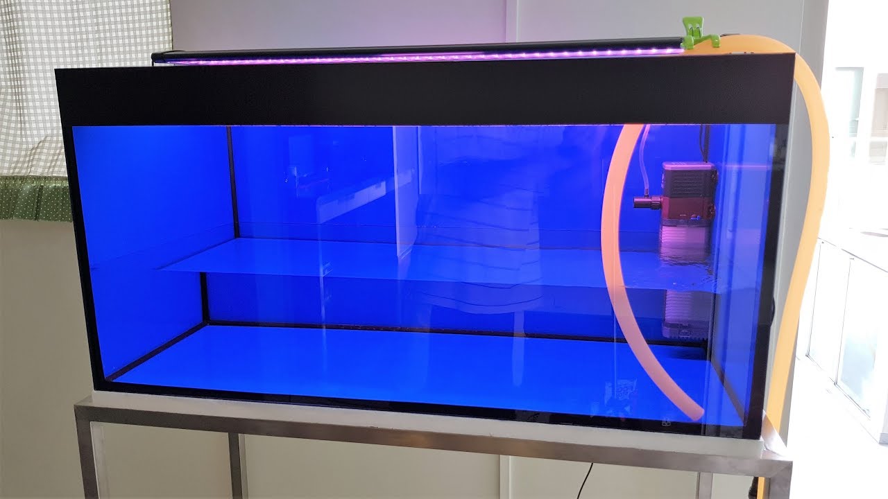 LIOW VIDEO: Setting up my 3 feet flowerhorn tank 三尺罗汉鱼缸
