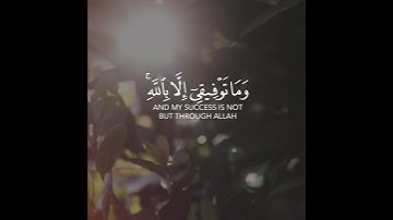 وما توفيقي الا بالله 🌟 ماهر المعيقلي 💝 حالات واتس اب قران كريم بصوت جميل جدا 🌟