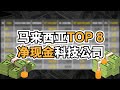 马来西亚TOP 8【净现金】Net Cash科技公司