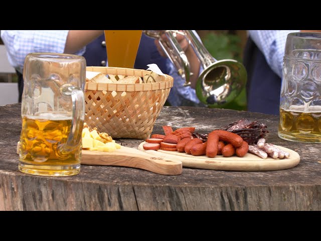 BERTHOLD SCHICK UND SEINE ALLGÄU 6 - Stammtisch Polka