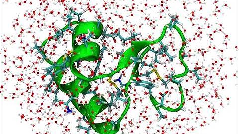 Molecular Dynamics Demonstration