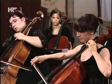 Bach Brandenburg Concerto 6 arr. for Cello Ensembl...