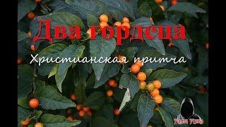 Два гордеца.  Христианская притча.  # Fishka про книжки.