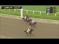 LAUREL PARK 2026-05-14 PL#07_RACE 7