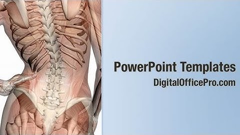 Muscles Anatomy PowerPoint Template Backgrounds - DigitalOfficePro #06387W