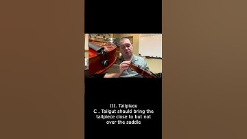 III.-C. Checking String Instruments for Playability #violin #strings #repair #pegs
