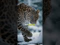 تعلم ان تراقب في صمت     تحفيز