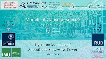 Marco Fabus – Hysteron Modeling of Anaesthetic Slow-wave Power
