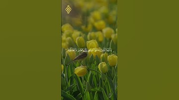 🍁 القارئ أحمد العجمي 🍁 | فاذكروني أذكركم واشكروا لي | سورة البقرة 152-153